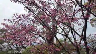 28 Mart 2025 Barış Parkı Kurbanlar Övgüsü