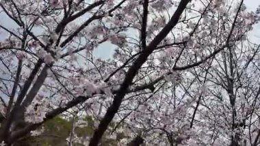 28 Mart 2025 Barış Parkı Kurbanlar Övgüsü