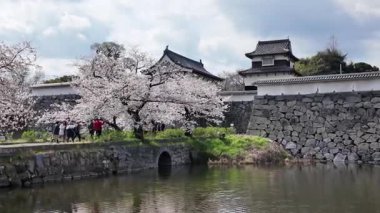 Fukuoka Kalesi Harabelerinden Geç, 29 Mar, 2025