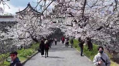 Fukuoka Kalesi Harabelerinden Geç, 29 Mar, 2025