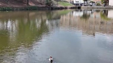 Nehir, 29 Mart 2025 'te Maizuru Parkı' ndan akıyor.
