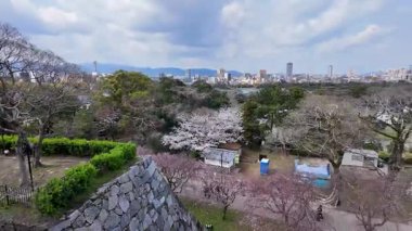 Sakura Garden Views by Fukuoka Castle, 29 Mart 2025