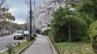 29 Mart 2025 'te Mori Tahei' nin eski evini ziyaret eden insanlar.