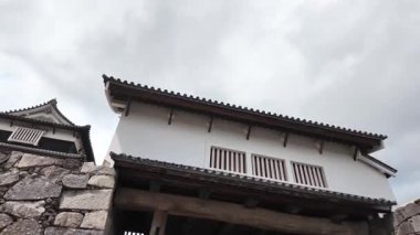 Sakura Garden Views by Fukuoka Castle, 29 Mart 2025