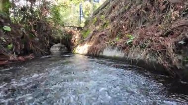 26 Mart 2025, Shirakawa Baharı Park 'taki Doğal Nehir Güzelliği
