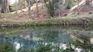 26 Mart 2025, Shirakawa Baharı Park 'taki Doğal Nehir Güzelliği
