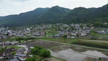 Yufuin kasabasından pirinç tarlası, Oita Bölgesi, Kyushu, Japonya, 15 Mayıs 2024 