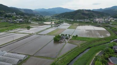 Yufuin kasabasından pirinç tarlası, Oita Bölgesi, Kyushu, Japonya, 15 Mayıs 2024 