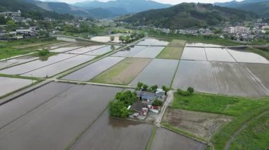 Yufuin kasabasından pirinç tarlası, Oita Bölgesi, Kyushu, Japonya, 15 Mayıs 2024 