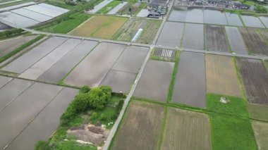 Yufuin kasabasından pirinç tarlası, Oita Bölgesi, Kyushu, Japonya, 15 Mayıs 2024 