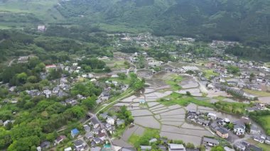 Yufuin kasabasından pirinç tarlası, Oita Bölgesi, Kyushu, Japonya, 15 Mayıs 2024 