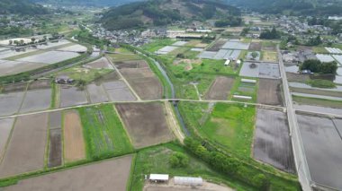 Yufuin kasabasından pirinç tarlası, Oita Bölgesi, Kyushu, Japonya, 15 Mayıs 2024 