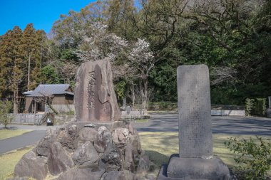 23 Mart 2025 Çiçek açan ağaçlarla çevrili tarihi taş anıtlar