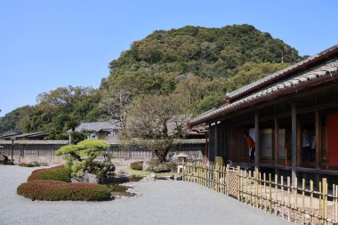 23 Mart 2025 Pembe kiraz çiçeklerinin bulunduğu huzurlu botanik manzarası,