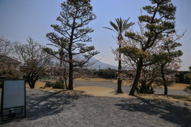 23 Mart 2025 Parlak ahşap verandalı sakin bir Japon evi