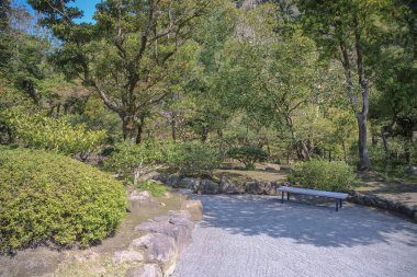 23 Mart 2025 gür yeşillik ve geleneksel Japonlarla çevrili sakin orman yolu