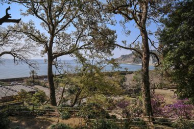 23 Mart 2025 Orman yolu yemyeşil ve yosun kaplı