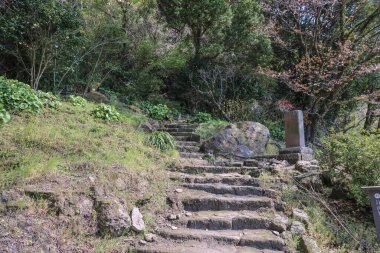 23 Mart 2025 Orman yolu yemyeşil ve yosun kaplı