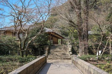 23 Mart 2025 Orman yolu yemyeşil ve yosun kaplı