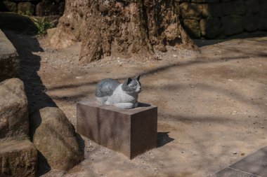 23 Mart 2025 küçük kedi heykeli gölgeli bir bahçeye yerleştirildi.