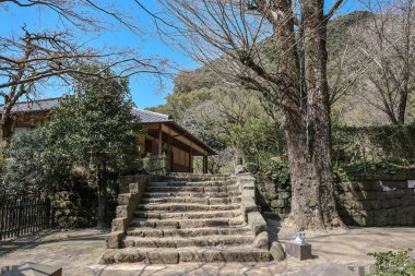 23 Mart 2025 Parlak ahşap verandalı sakin bir Japon evi