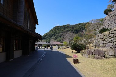 23 Mart 2025, açık mavi gökyüzünün altındaki yemyeşil yemyeşil bir duvarın ortasındaki dayanıklı taş bir duvar..