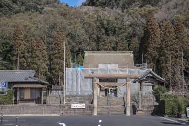 23 Mart 2025 Yeşilliğe gömülü bir Torii Kapısı olan sakin bir Shinto tapınağı,