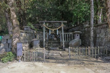 23 Mart 2025 sakin bir ormanda kutsal bir iple süslenmiş tahta torii kapısı.