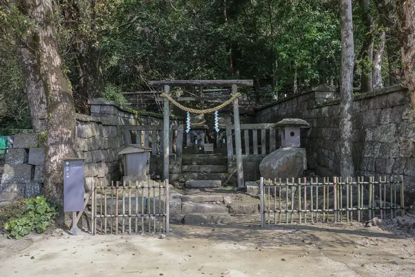 23 Mart 2025 sakin bir ormanda kutsal bir iple süslenmiş tahta torii kapısı.