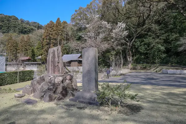 23 Mart 2025 Çiçek açan ağaçlarla çevrili tarihi taş anıtlar
