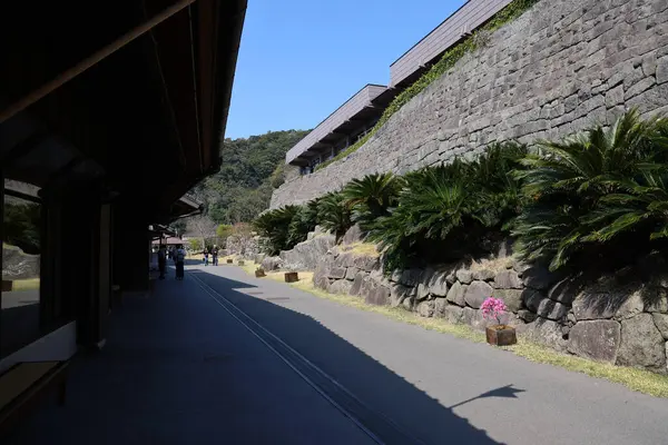 23 Mart 2025, açık mavi gökyüzünün altındaki yemyeşil yemyeşil bir duvarın ortasındaki dayanıklı taş bir duvar..