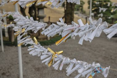 24 Mart 2025 Geleneksel bir Japon tapınağında iplere bağlı kağıt servetler,