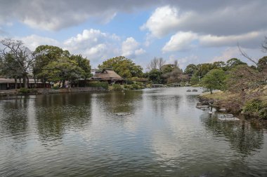 24 Mart 2025 Etrafı yeşil manzaralarla çevrili sakin göl, bahçe ağaçları,
