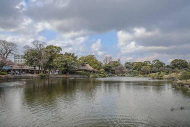 24 Mart 2025 Etrafı yeşil manzaralarla çevrili sakin göl, bahçe ağaçları,