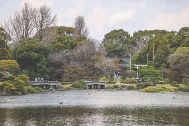 24 Mart 2025 Etrafı yeşil manzaralarla çevrili sakin göl, bahçe ağaçları,