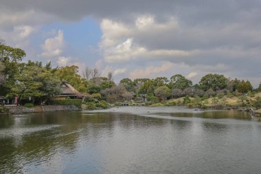 24 Mart 2025 Etrafı yeşil manzaralarla çevrili sakin göl, bahçe ağaçları,