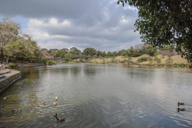 24 Mart 2025 Etrafı yeşil manzaralarla çevrili sakin göl, bahçe ağaçları,