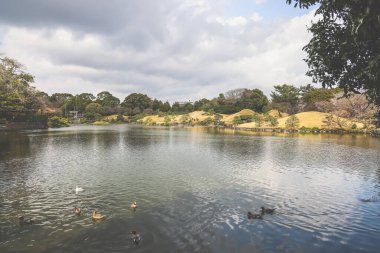 24 Mart 2025 Etrafı yeşil manzaralarla çevrili sakin göl, bahçe ağaçları,