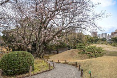 24 Mart 2025 Çimenli bir alanda ağaçların bulunduğu sakin bir açık hava parkı manzarası
