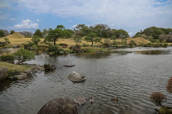 24 Mart 2025 Japon bahçeli sakin bir peyzaj.,