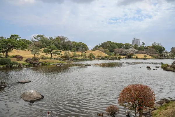 24 Mart 2025 Japon bahçeli sakin bir peyzaj.,