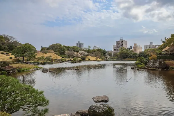 24 Mart 2025 Japon bahçeli sakin bir peyzaj.,