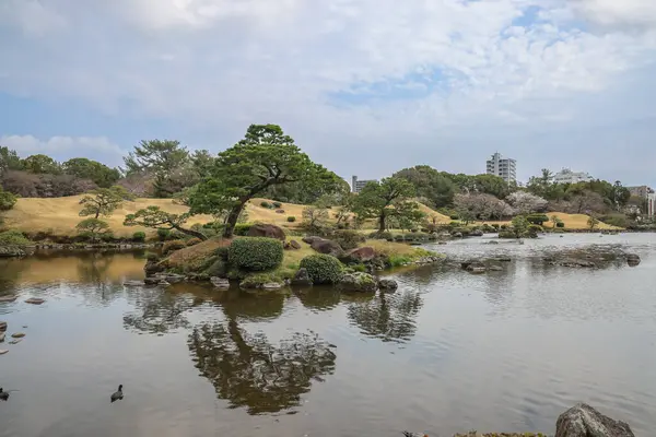 24 Mart 2025 Japon bahçeli sakin bir peyzaj.,