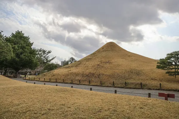 24 Mart 2025 Çimenli bir alanda ağaçların bulunduğu sakin bir açık hava parkı manzarası