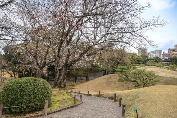 24 Mart 2025 Çimenli bir alanda ağaçların bulunduğu sakin bir açık hava parkı manzarası