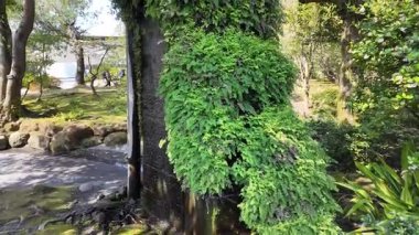 Sengan bahçe manzaralı Sengan 'da geleneksel bahçe 23 Mart 2025  