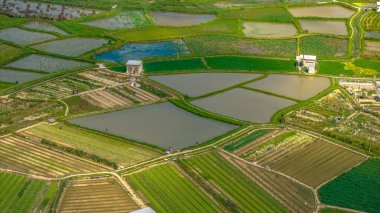 Bu sabah Long Valley boyunca uzanan tarımsal yeşil alanlar
