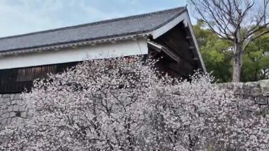 Etkileyici mimarisi ve bereketli çevresi olan tarihi şato, 24 Mart 2025