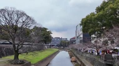 24 Mart 2025, Tsuboi nehri boyunca uzanan patika.