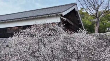 Etkileyici mimarisi ve bereketli çevresi olan tarihi şato, 24 Mart 2025